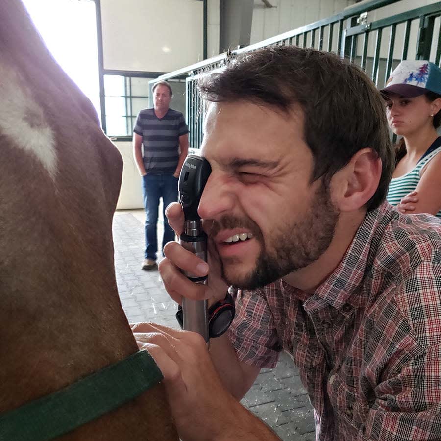 Equine Preventive Care & Dentistry, Longmont Vets